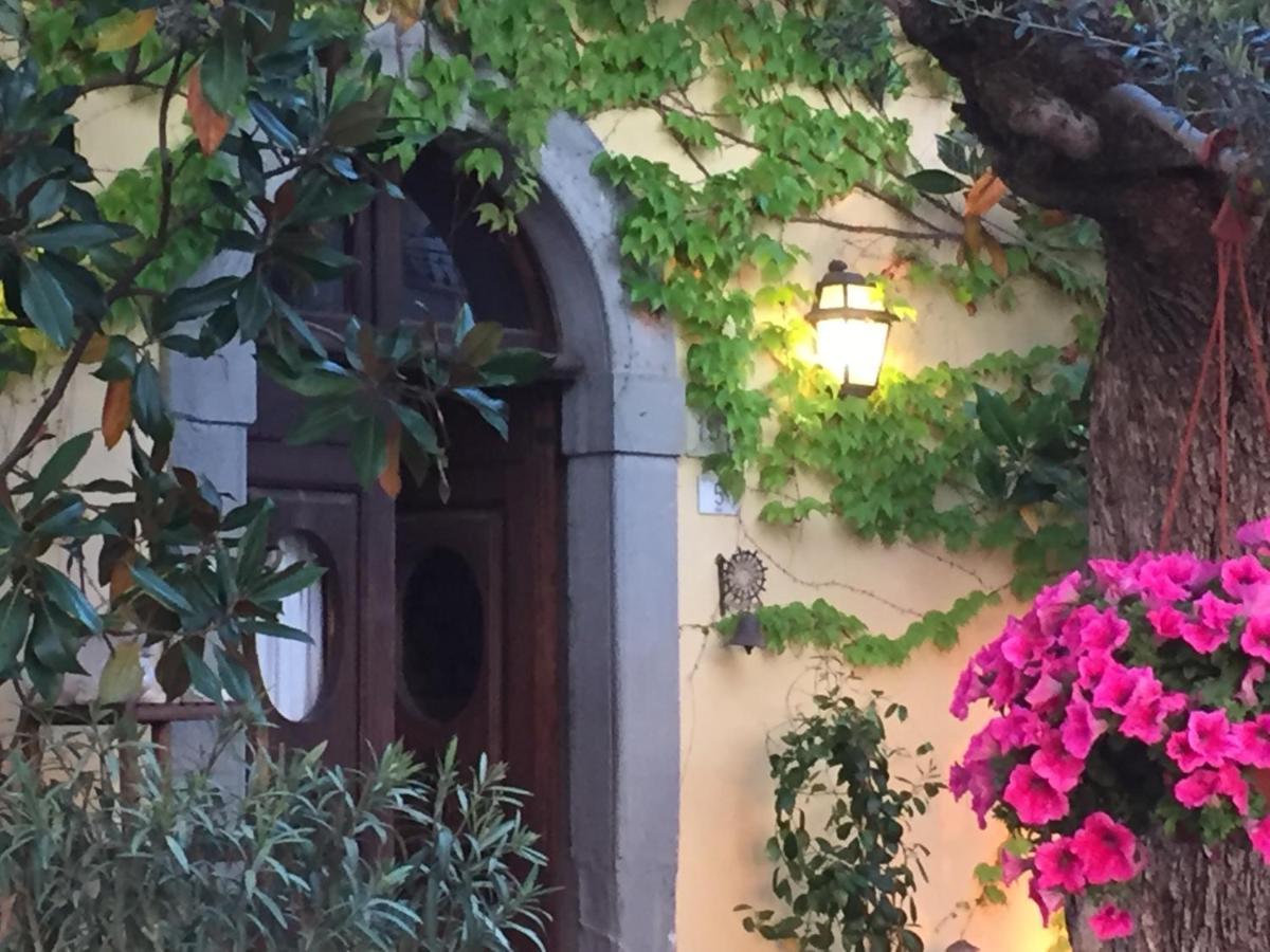Il Sole Del Sodo Guest House Cortona Exterior photo
