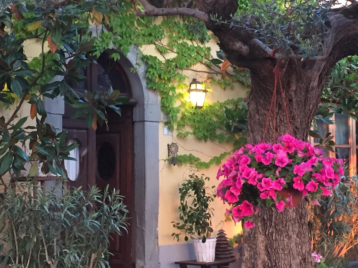 Il Sole Del Sodo Guest House Cortona Exterior photo