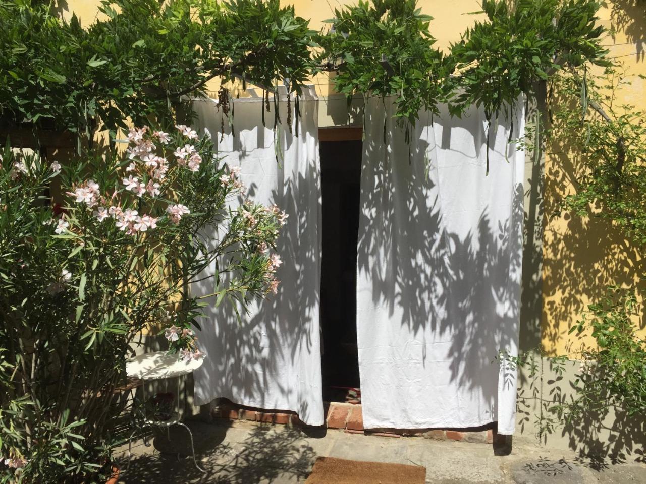 Il Sole Del Sodo Guest House Cortona Exterior photo