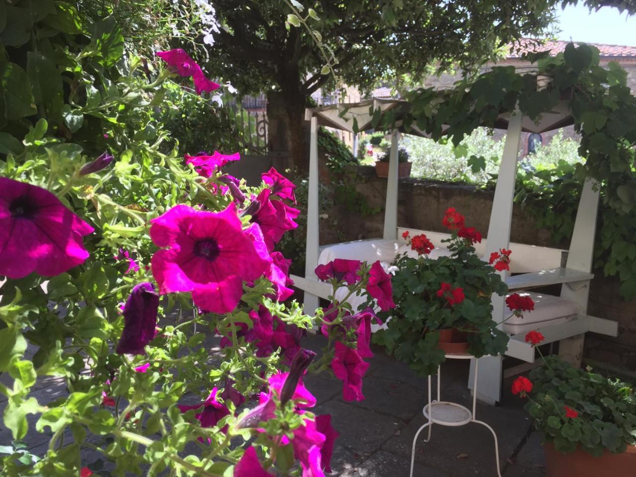 Il Sole Del Sodo Guest House Cortona Exterior photo